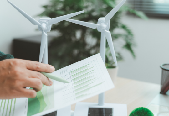 Sustainability Manager: chi è, cosa fa e perché è sempre più decisivo per le imprese