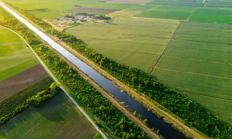 Ietogrammi di progetto: dalla pioggia critica alla stima delle portate di piena